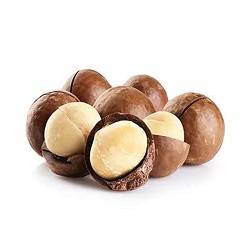 فندق ماکادمیا فله